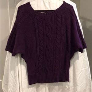 Loft Purple dolman sleeve sweater